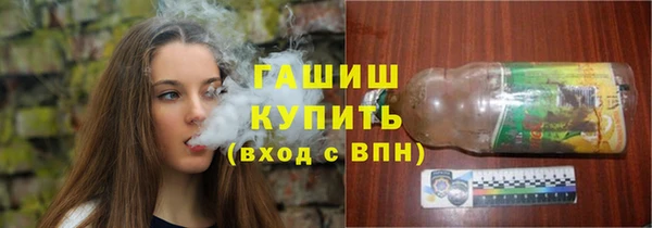 гашик Верея