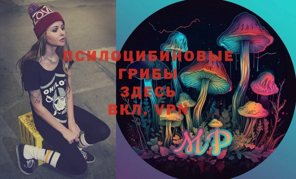 прущая мука Бородино