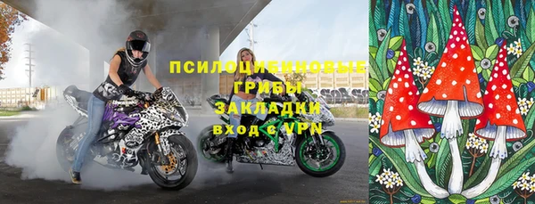 шишки Богородск