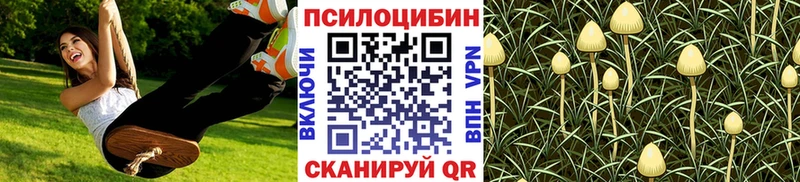 блэк спрут маркетплейс  Гагарин  Галлюциногенные грибы ЛСД 